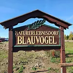 Дом отдыха ****fh Blauvogel 60 Harz *