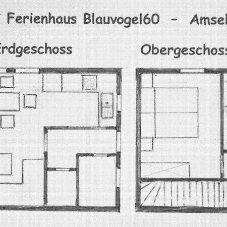 ****fh Blauvogel 60 Harz Holiday home
