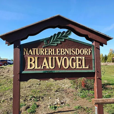 Holiday home ****fh Blauvogel 60 Harz *