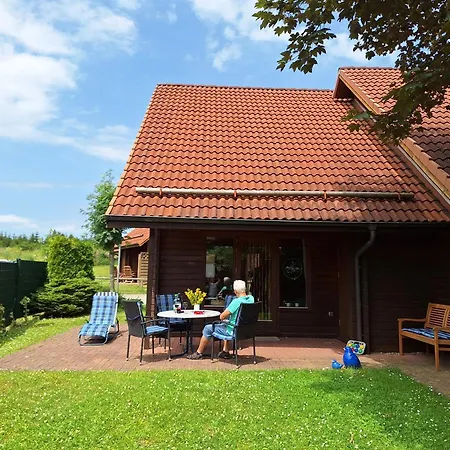 Holiday home ****fh Blauvogel 60 Harz Hasselfelde