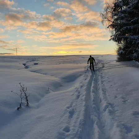 ****fh Blauvogel 60 Harz