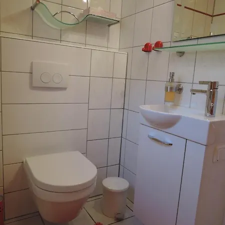 ****fh Blauvogel 60 Harz Holiday home Hasselfelde