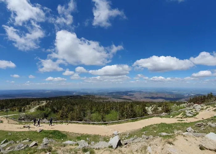 ****fh Blauvogel 60 Harz