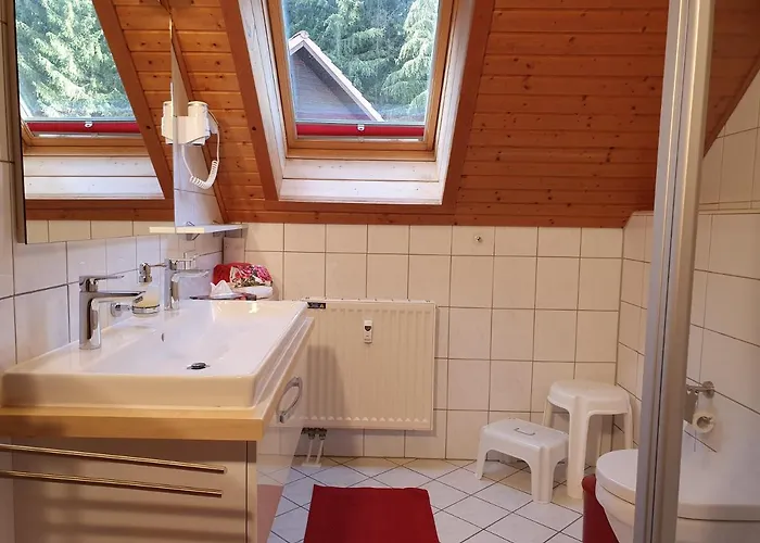 Ferienhaus ****fh Blauvogel 60 Harz Hasselfelde