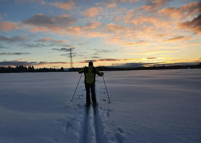Ferienhaus ****fh Blauvogel 60 Harz Hasselfelde