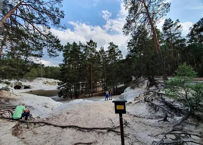 Ferienhaus ****fh Blauvogel 60 Harz *