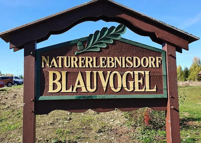 Ferienhaus ****fh Blauvogel 60 Harz *