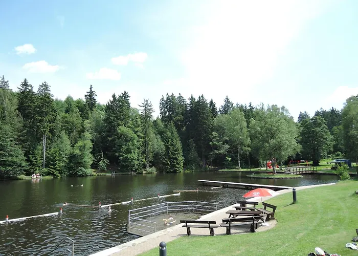 ****fh Blauvogel 60 Harz האסלפלדה