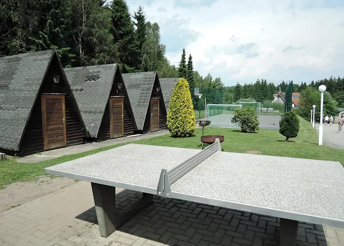 ****fh Blauvogel 60 Harz Ferienhaus