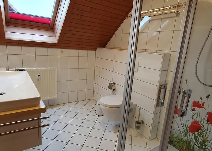 Ferienhaus ****fh Blauvogel 60 Harz Hasselfelde