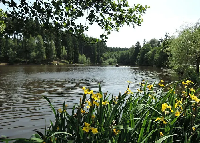 ****fh Blauvogel 60 Harz Hasselfelde