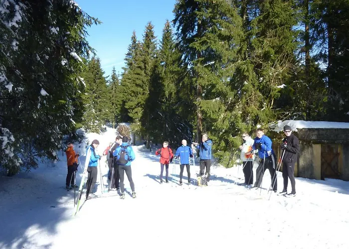 ****fh Blauvogel 60 Harz Hasselfelde